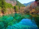 【2-8人团】高铁3日游九寨沟黄龙+岷江源头