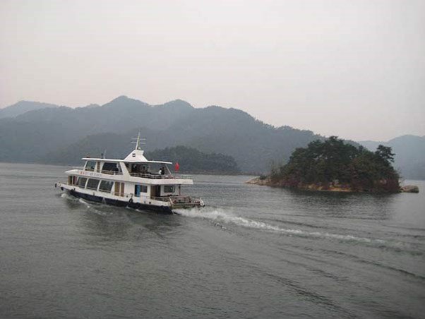 IMG_2905.jpg
