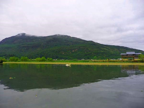 P1140872.jpg