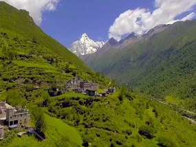 成都双汽四姑娘山、卧龙中华熊猫苑纯玩二日游