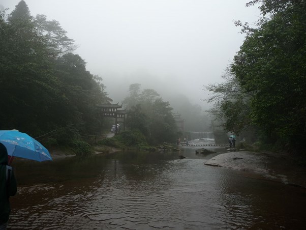 P1010638.jpg
