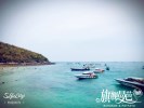 成都直飞泰国普吉岛 铂金版-普吉壹号-旗舰风云（真2店 全程0自费 承诺2晚希尔顿）