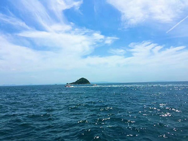 新马2