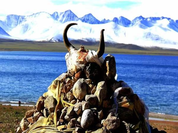xizang10